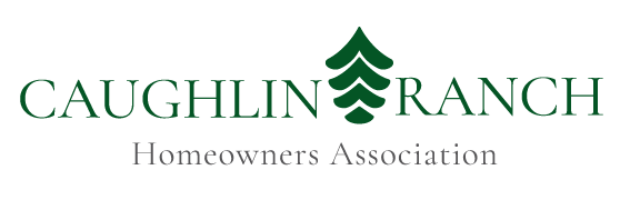 INSERT ALTERNATE KEYWORD HERE